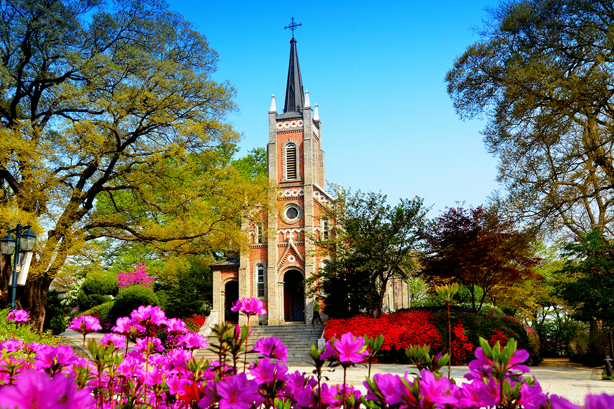 ���������������ǥ����