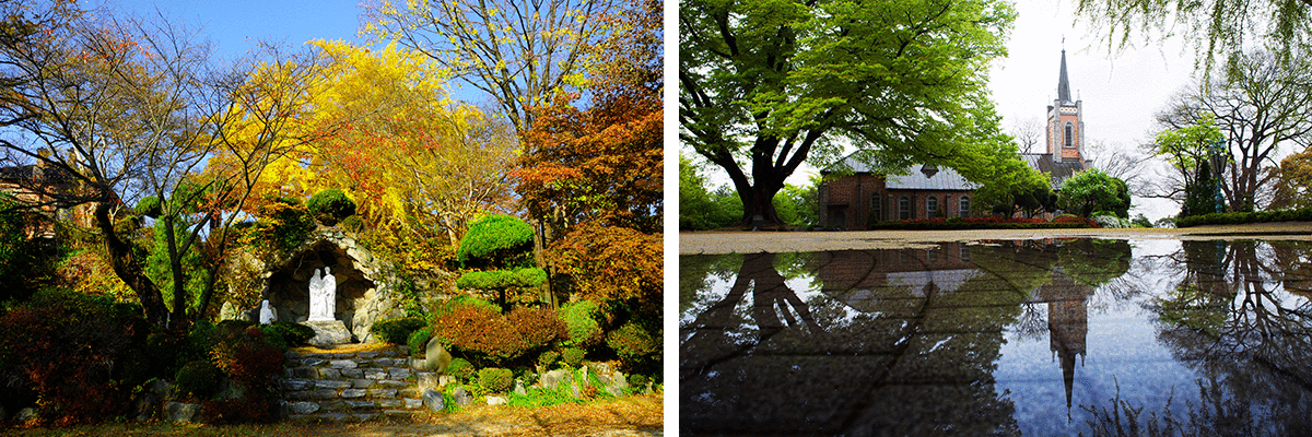 �����������������