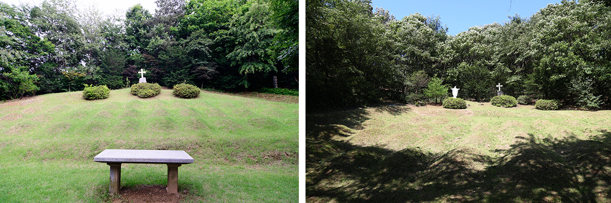 ���Ż꼺������