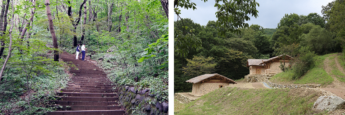 ���Ż꼺������