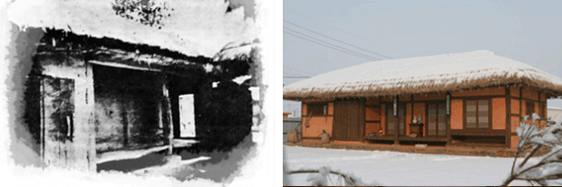 �Ÿ���������