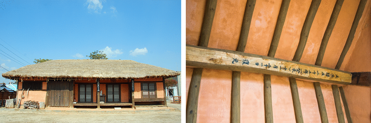 �Ÿ���������