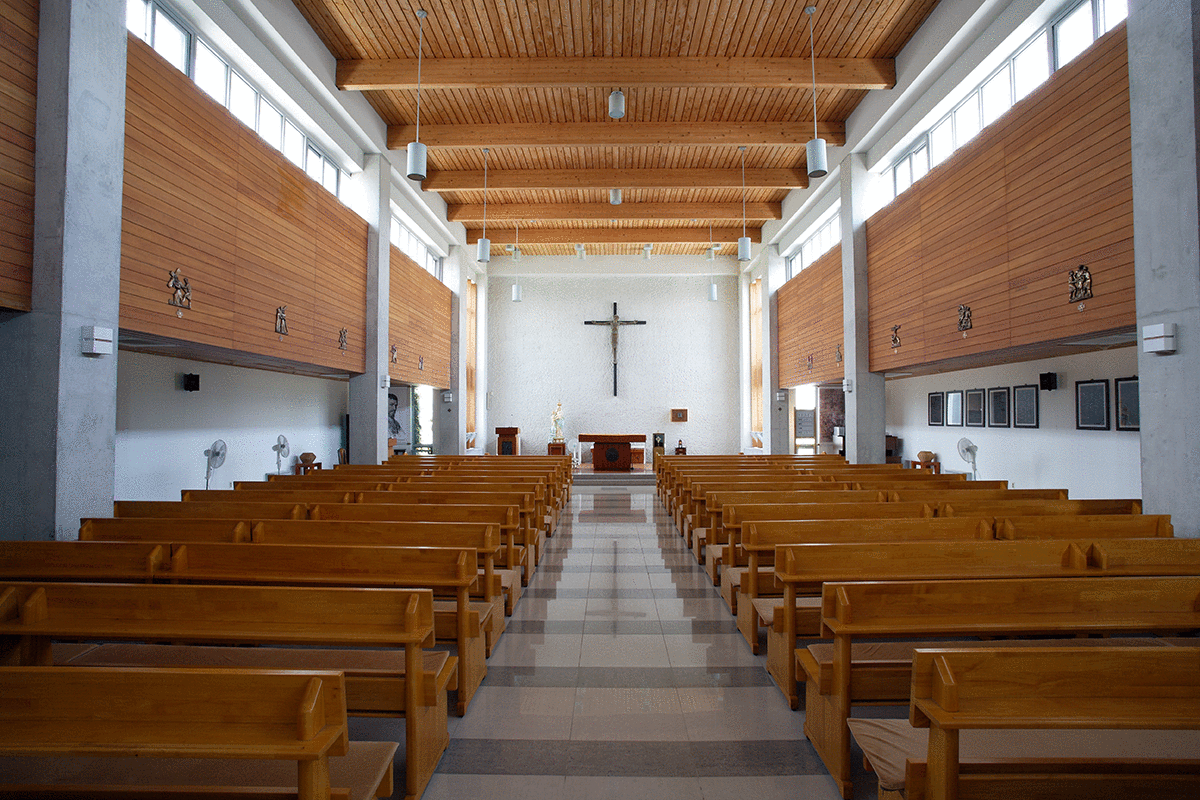 �Ÿ���������