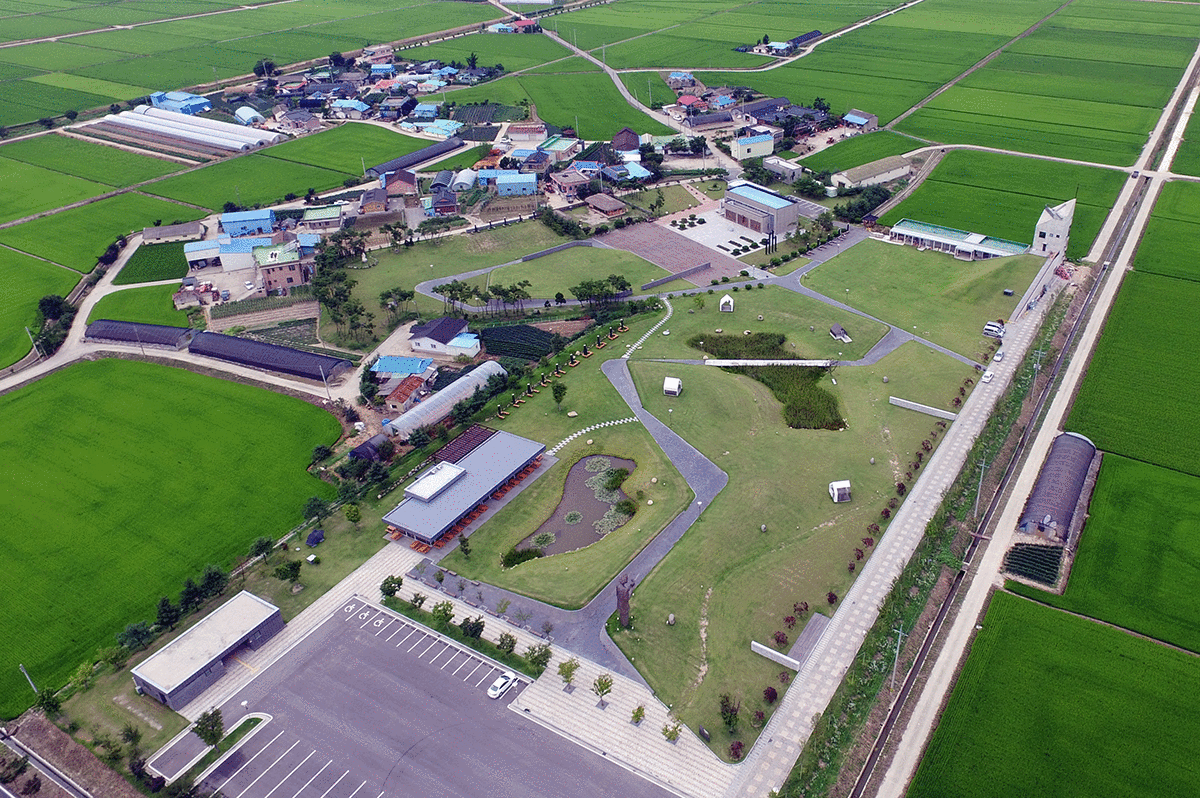 �Ÿ���������