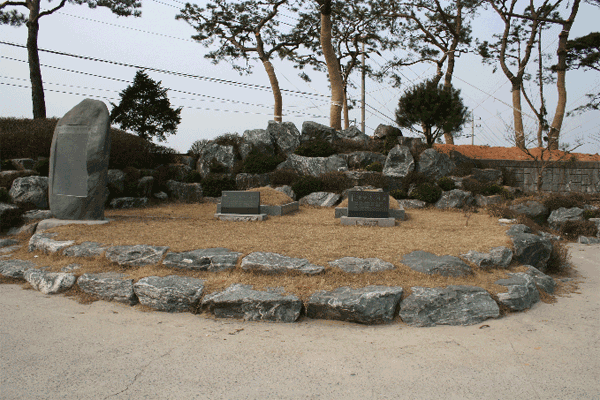 ������Ӹ���������