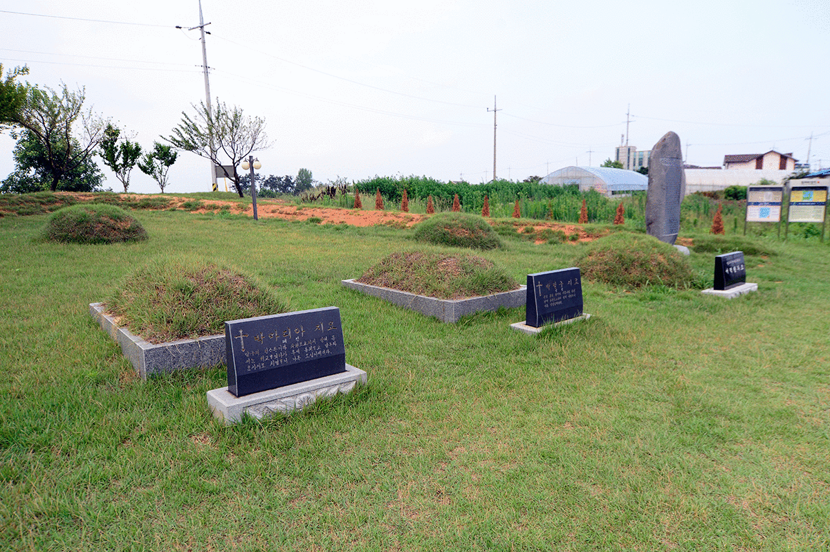 ������Ӹ���������