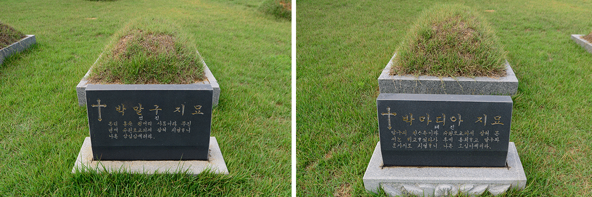 ������Ӹ���������