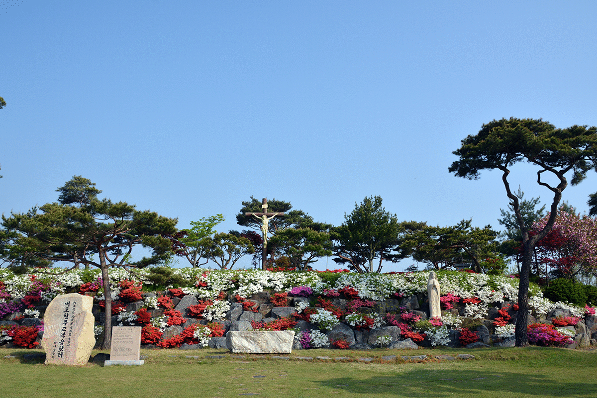 ����Ｚ�������ǥ����