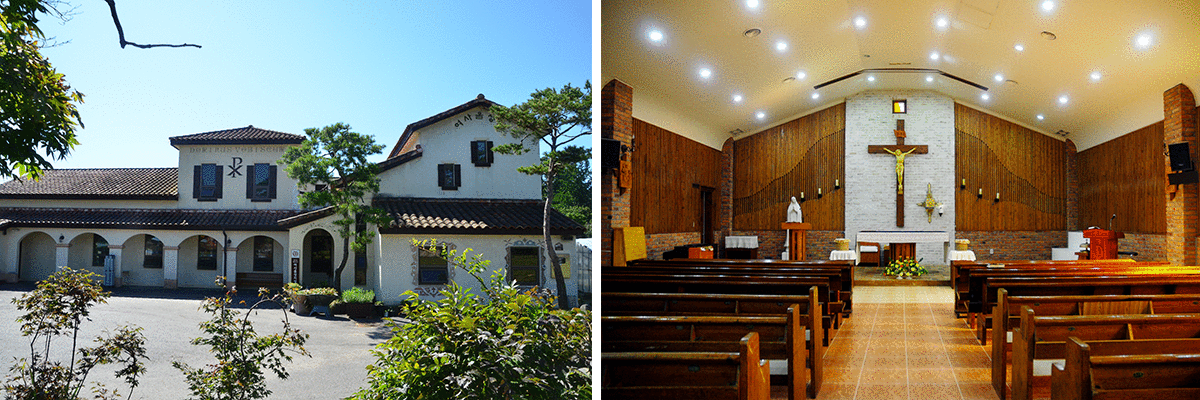 ����Ｚ���������