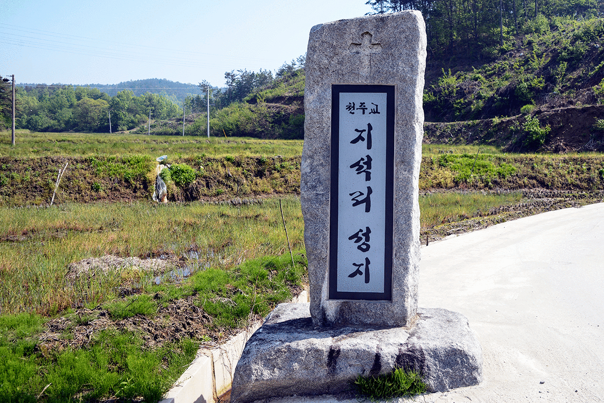 ��������ǥ����