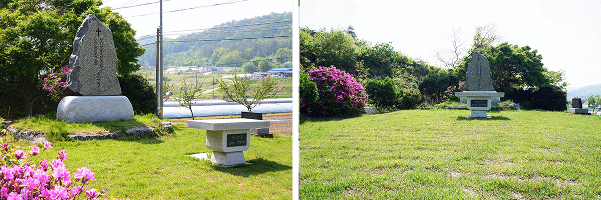 �ο���������������