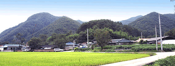 ���꼺����ǥ����