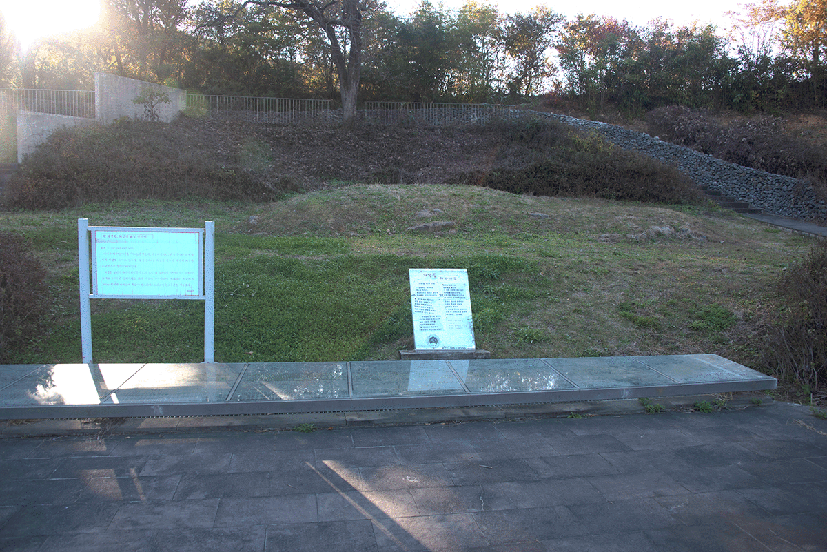 û��ٶ���������