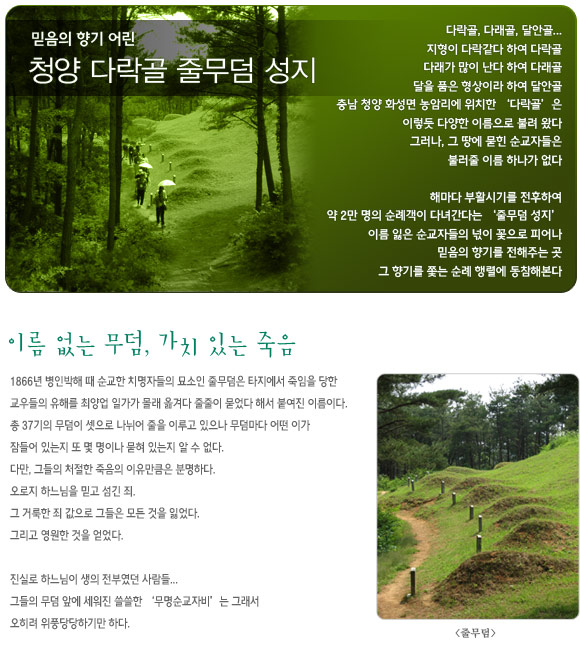 û��ٶ���������