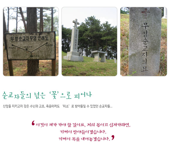 û��ٶ���������