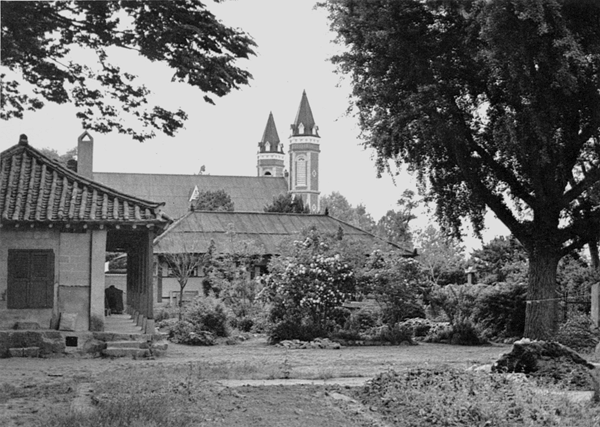 �մ��������