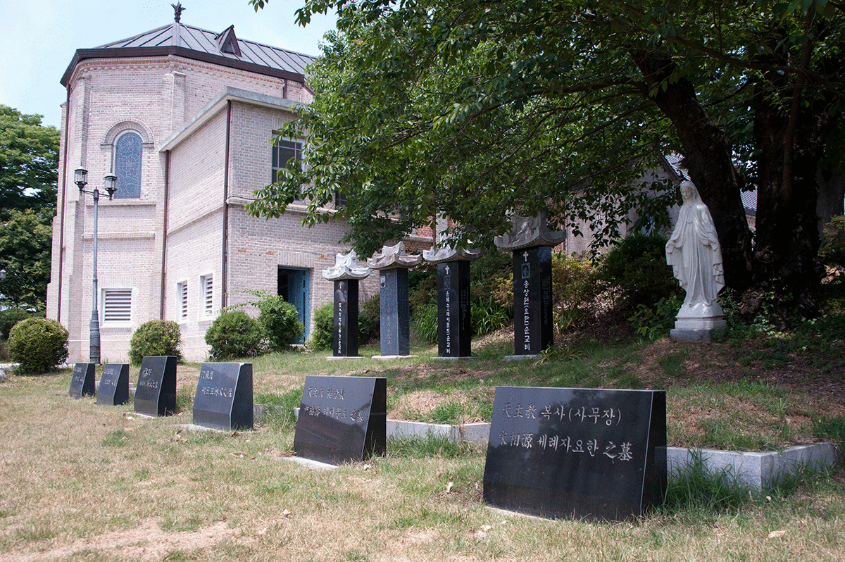 �մ��������