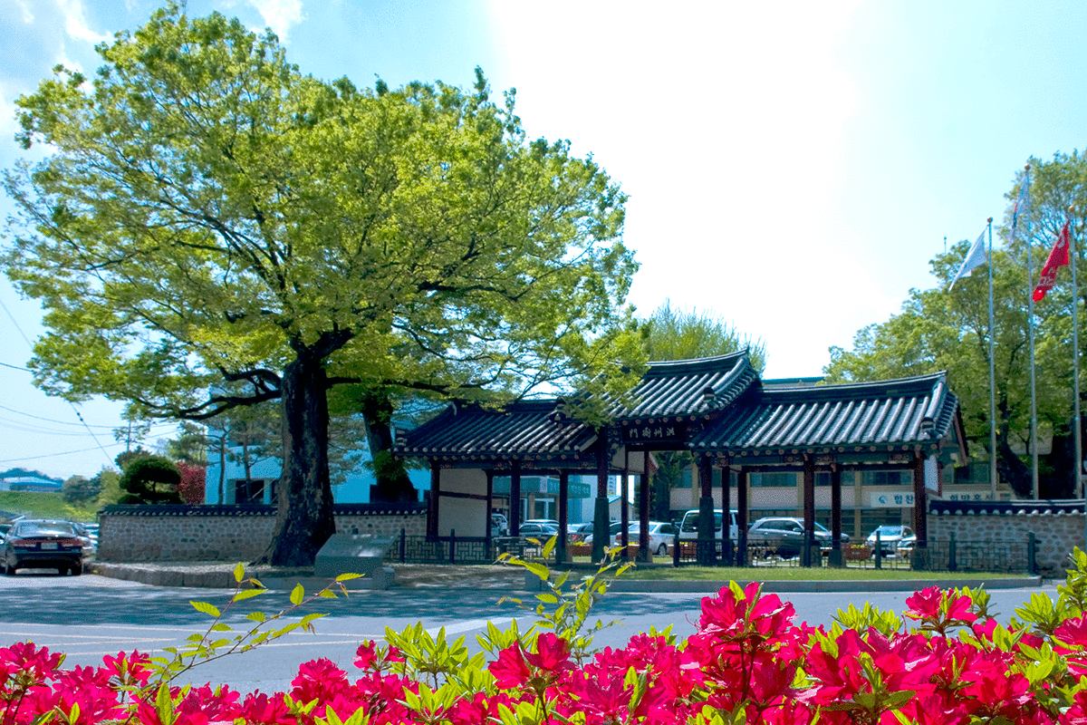 ȫ�ּ�����ǥ����