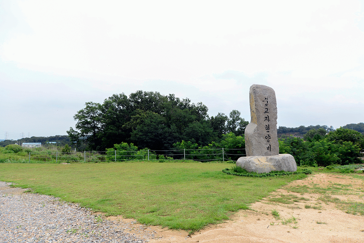 Ȳ���Ǽ��� ��ǥ����