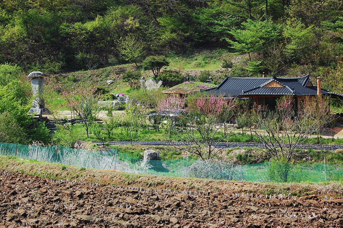 ���Ӱ�������