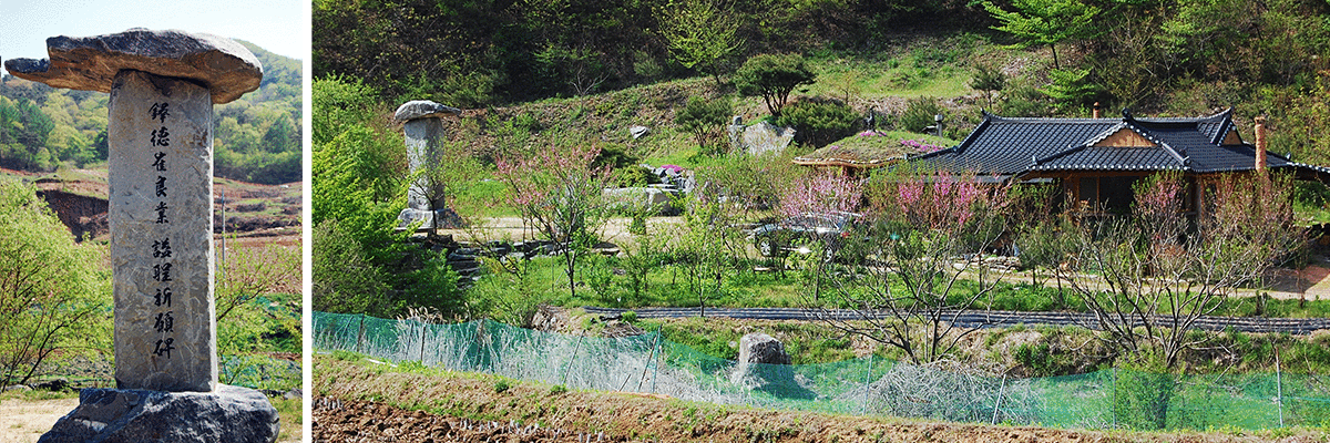 ���Ӱ�����ǥ����