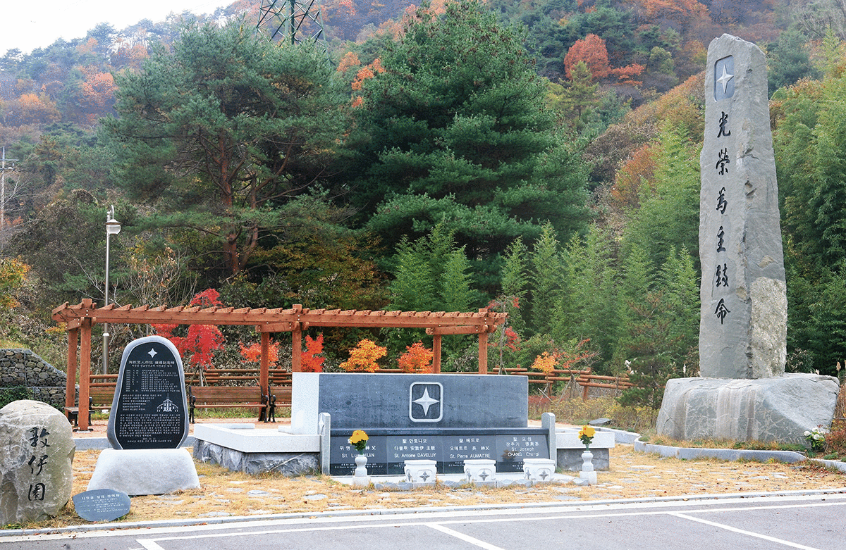 ����������ǥ����