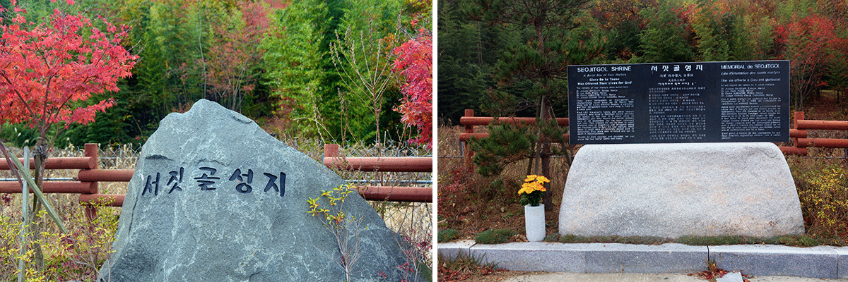 ����������ǥ����