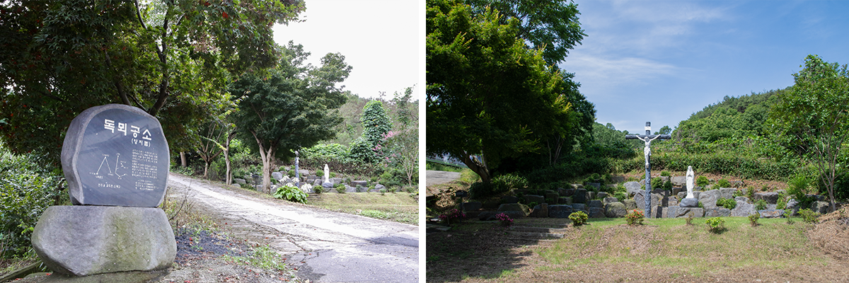 �������ٹ�����������