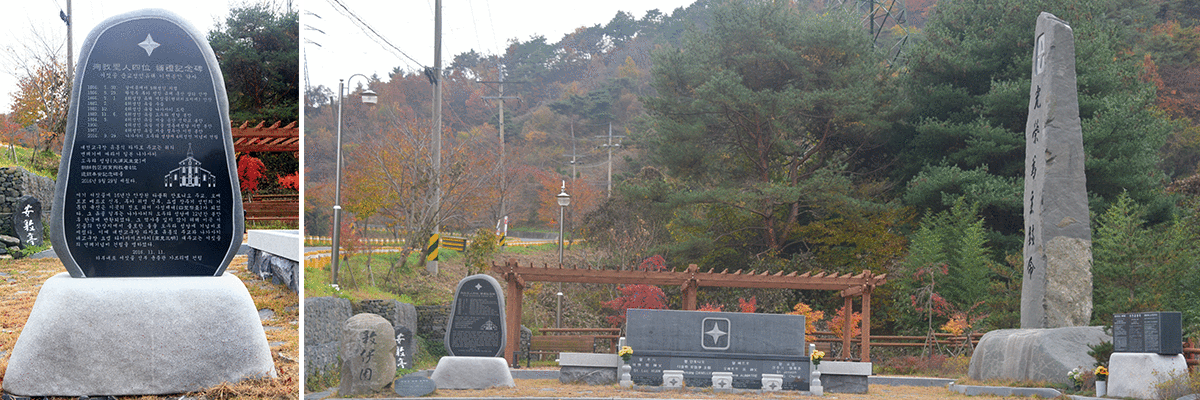 ����������ǥ����