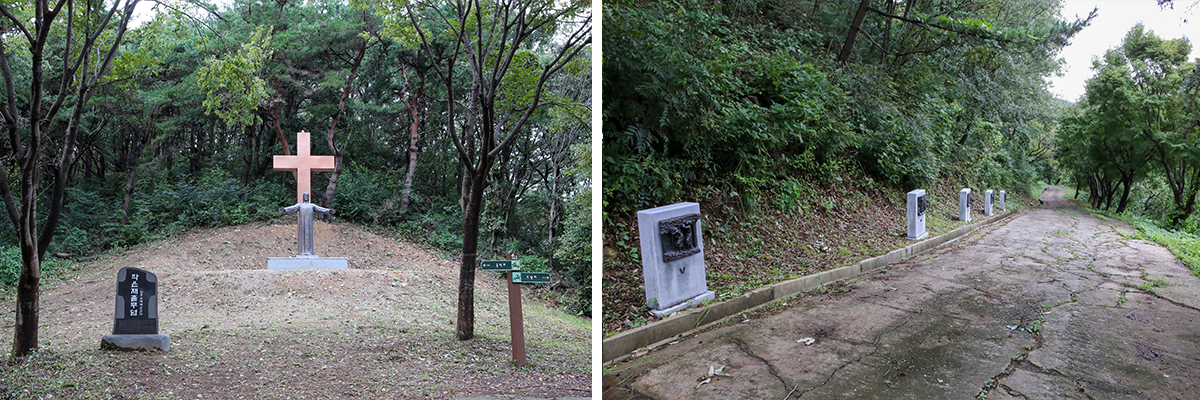 �������ٹ�����������