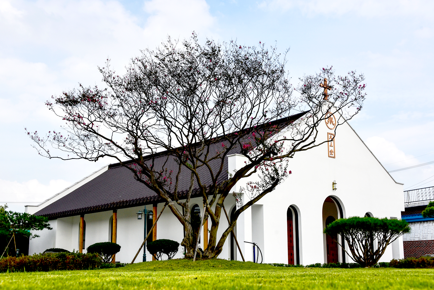 ���漺�� ��ǥ����